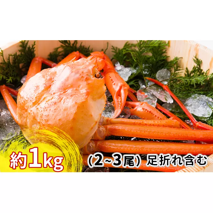 【おすすめ】紅ズワイガニ約1kg（2～3尾）【棚辺水産】