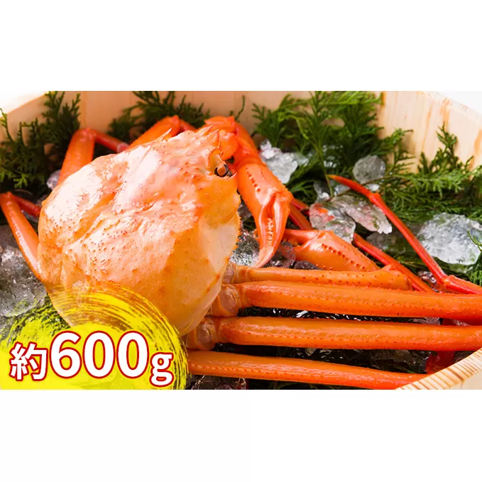 紅ズワイガニ約600g【棚辺水産】