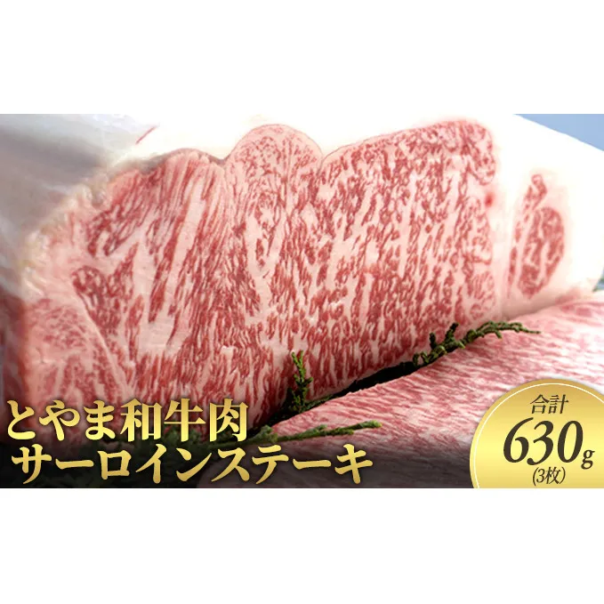 とやま和牛肉 サーロイン ステーキ 合計630g 3枚 牛肉 和牛 肉 お肉 牛