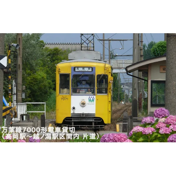 万葉線7000形電車貸切(高岡駅～越ノ潟駅区間内：片道)