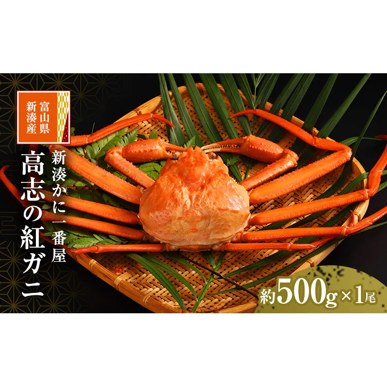 新湊かに一番屋【お薦め】高志の紅ガニ500g ズワイガニ 紅ずわいがに カニ 蟹 富山県 射水市