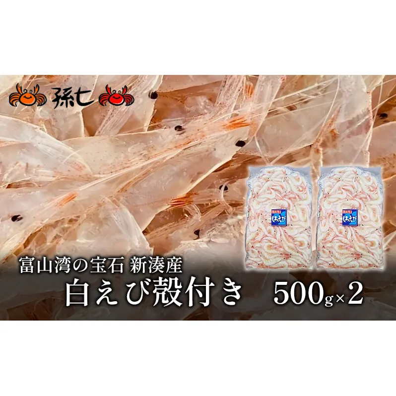 白えび殻付き500g×2