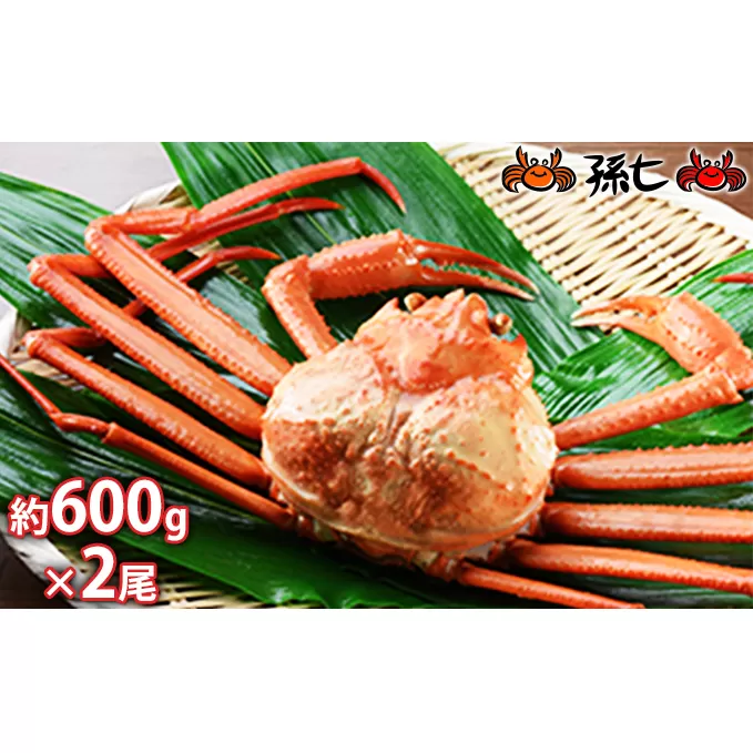 【おすすめ】紅ズワイガニ約600g×2尾