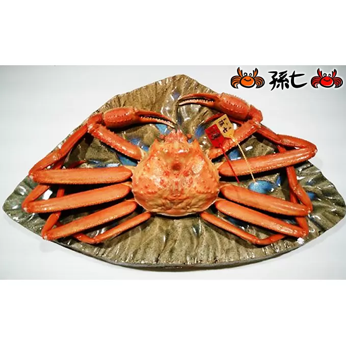 【特選】紅ズワイガニ約1kg（孫七タグ付）