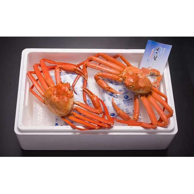 【伍右衛門】新湊産紅ズワイガニ約1kg（2～3尾）