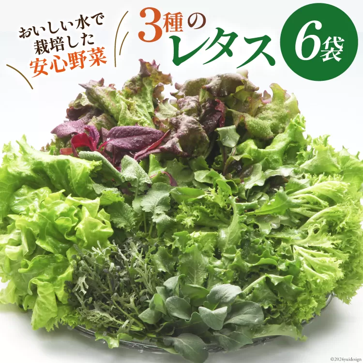 富山のおいしい水で生産した安心野菜（6袋） / 北陸機材 / 富山県 舟橋村 [57050100] 野菜 野菜セット フラワーリーフ フリルレタス マルチレタス 水耕栽培