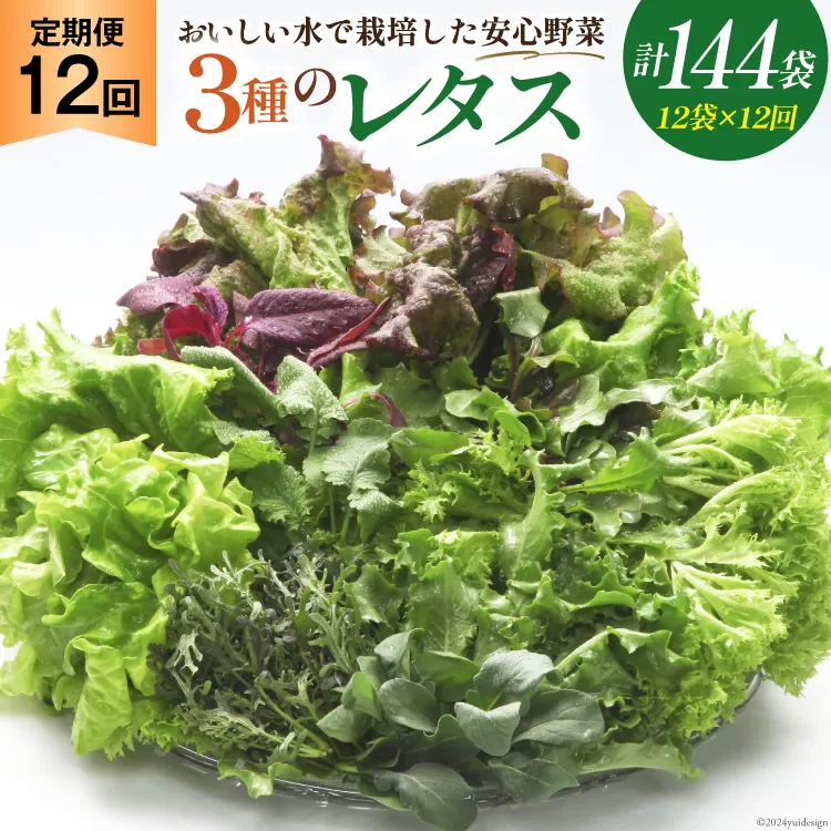 【12回定期便】富山のおいしい水で生産した安心野菜（12袋）[北陸機材 富山県 舟橋村 57050146] 野菜 野菜セット フラワーリーフ フリルレタス マルチレタス 水耕栽培 定期便