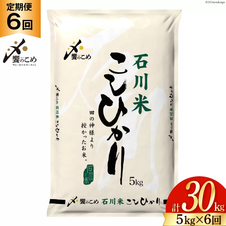 米 定期便 石川米 こしひかり【穂立】5kg×6回 総計30kg [中橋商事 石川県 宝達志水町 38600815] コシヒカリ お米 コメ 6ヶ月 白米 精米 おこめ こめ