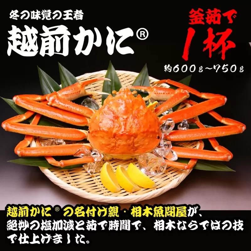 [011-k001] 越前かに 釜ゆで 約600g〜750g 1杯 [越前かに」の名づけ親 相木魚問屋が贈る越前の冬の味覚 [011-k001_A-b][相木魚問屋 越前ガニ 越前蟹 カニみそ 蟹味噌 内子 外子 蟹 かに ボイル蟹][敦賀市ふるさと納税]