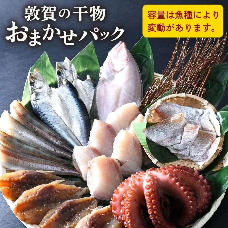 干物 敦賀の「干物詰め合わせセット」【海鮮 おかず おまかせ 保存料不使用】[051-a011] 【敦賀市ふるさと納税】