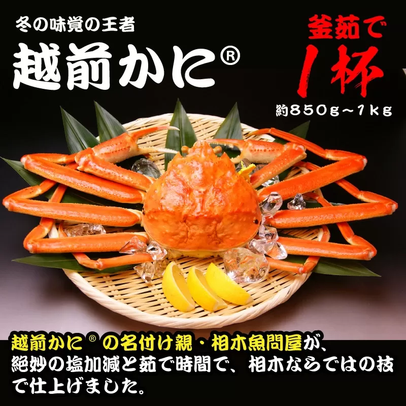 [011-l002] 越前かに 釜ゆで 約850g〜1kg 1杯 [011-l002_A-b][相木魚問屋 越前ガニ 越前蟹 カニみそ 蟹味噌 内子 外子 蟹 かに ボイル蟹][敦賀市ふるさと納税]