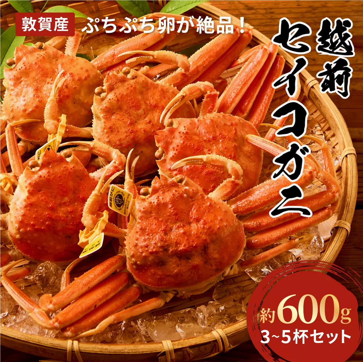 [期間限定]茹でたて 越前 セイコガニ 3〜5杯 セット(質量600g前後)[冷蔵 ※賞味期限発送日より3日以内] [011-a010][相木魚問屋 越前ガニ 越前蟹 セイコ蟹 カニみそ 蟹味噌 内子 外子 蟹 かに ボイル蟹][敦賀市ふるさと納税]