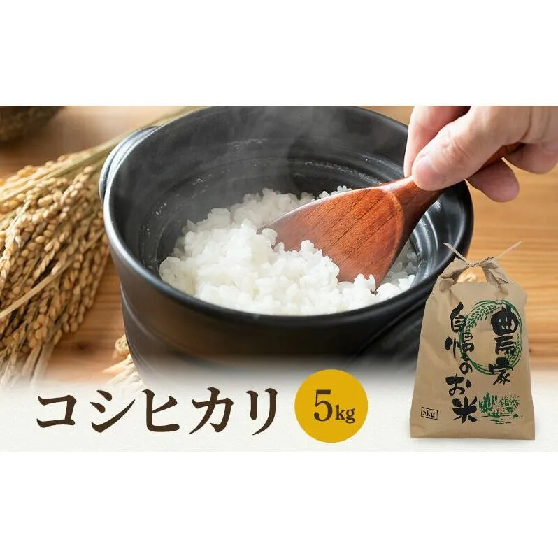 米 令和6年 コシヒカリ 5kg 一等米 お米 おこめ こめ コメ 白米 精米 新米 ご飯 ごはん 山心ファーム 福井県 福井