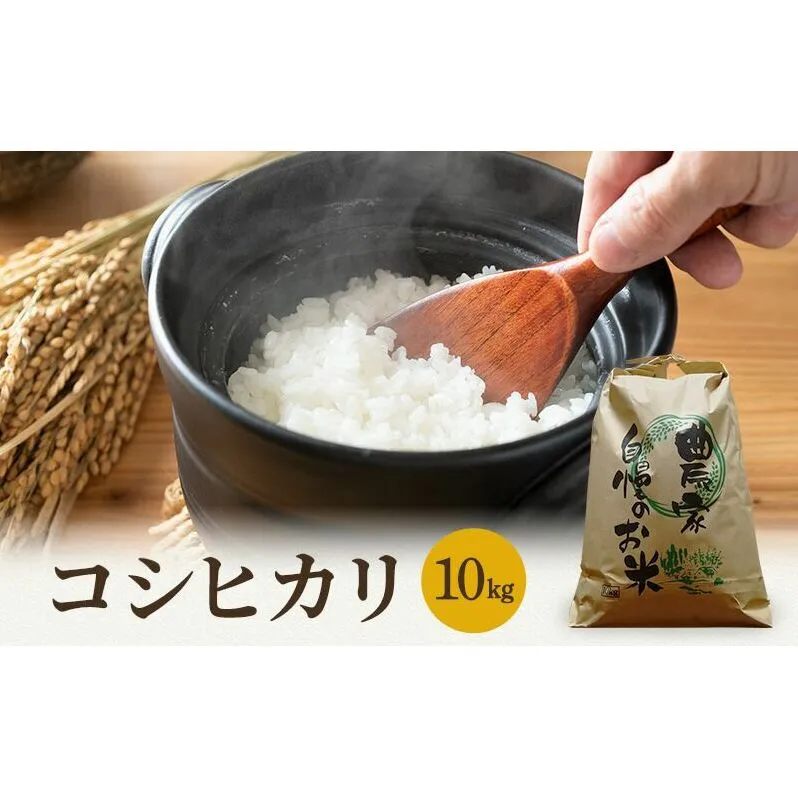 米 令和6年産 コシヒカリ 10kg 白米 精米 こめ コメ 一等米 特A 特a米 新米 こしひかり 山心ファーム 福井 福井県 若狭町