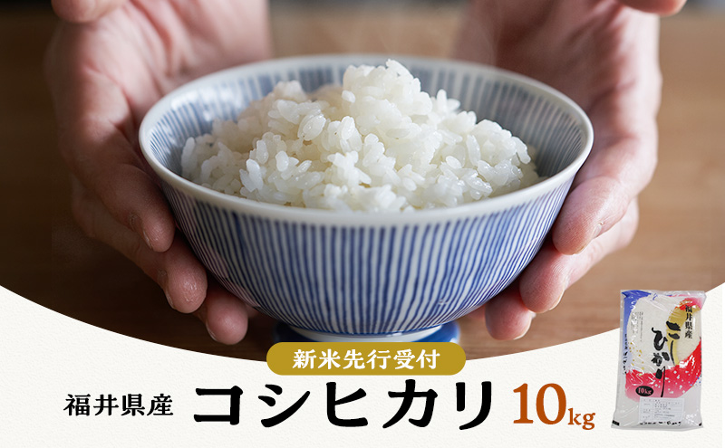 米 令和6年 コシヒカリ 10kg 一等米 お米 おこめ こめ コメ 白米 精米 新米 ご飯 ごはん 三宅カントリーファーム 福井県 福井｜若狭町｜ 福井県｜返礼品をさがす｜まいふる by AEON CARD