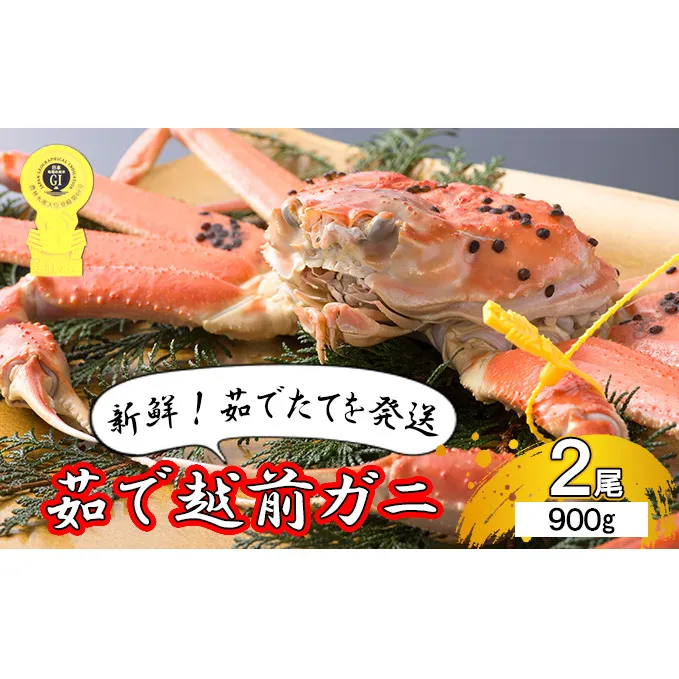 【年内届け】茹で越前ガニ【期間限定】食通もうなる本場の味をぜひ、ご堪能ください。約900g 2尾セット 越前がに 越前かに 越前カニ カニ ボイルガニ