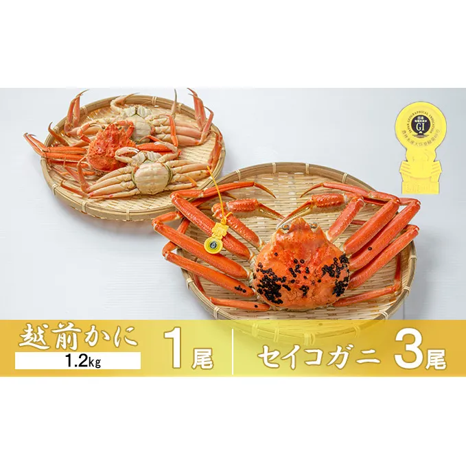 茹で越前ガニ【期間限定】食通もうなる本場の味をぜひ、ご堪能ください。セイコガニセット 約1.2kg＋セイコガニ3杯 越前がに 越前かに 越前カニ カニ ボイルガニ