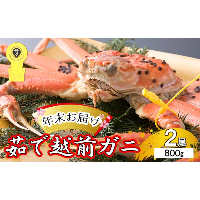 茹で 越前ガニ 約800g 2杯 年末配送 食通もうなる本場の味をぜひ、ご堪能ください 越前かに 蟹 カニ かに ボイルカニ ボイル蟹 ポーション ズワイガニ ずわい蟹 海鮮 福井 福井県 若狭町