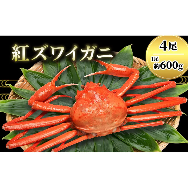 カニ 紅ずわいがに 600g前後×4尾 茹でガニ 蟹 かに ベニズワイガニ 紅ずわい蟹 紅ズワイガニ ズワイガニ ずわい蟹 ずわいがに ボイルガニ 魚介 魚介類 海鮮 福井県 福井