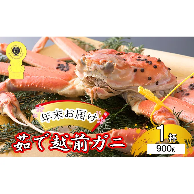 茹で 越前ガニ 約900g以上 1杯 年末配送 食通もうなる本場の味をぜひ、ご堪能ください 越前かに 蟹 カニ かに ボイルカニ ボイル蟹 ポーション ズワイガニ ずわい蟹 海鮮 福井 福井県 若狭町