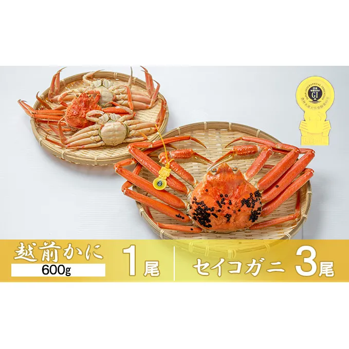 茹で越前かに 600g×1尾 セイコガニ×3尾