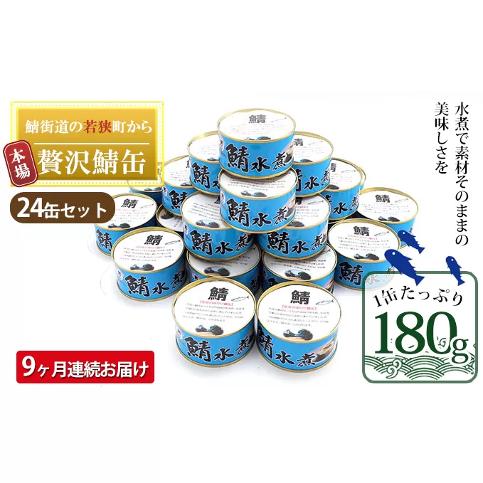 サバ缶 定期便 9ヶ月 若狭の鯖缶 水煮 24缶 セット 詰め合わせ 鯖缶 さば缶 さば サバ 鯖 缶詰 缶詰め 魚 魚介 魚介類 海鮮 水煮缶 9回 お楽しみ 福井 福井県 若狭町