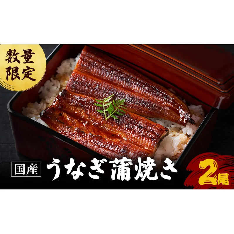 【祝北陸新幹線延伸】うなぎ 数量限定 国産 蒲焼き 2尾 老舗うなぎ専門店 徳右ェ門 鰻 ウナギ 魚介 魚介類 海鮮 福井県 福井