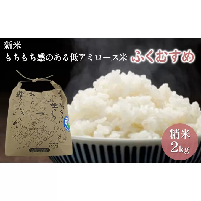 【先行予約】ふくむすめ2kg（令和6年度産）もちもち感のある低アミロース米　特別栽培米　若狭・天狗山農園