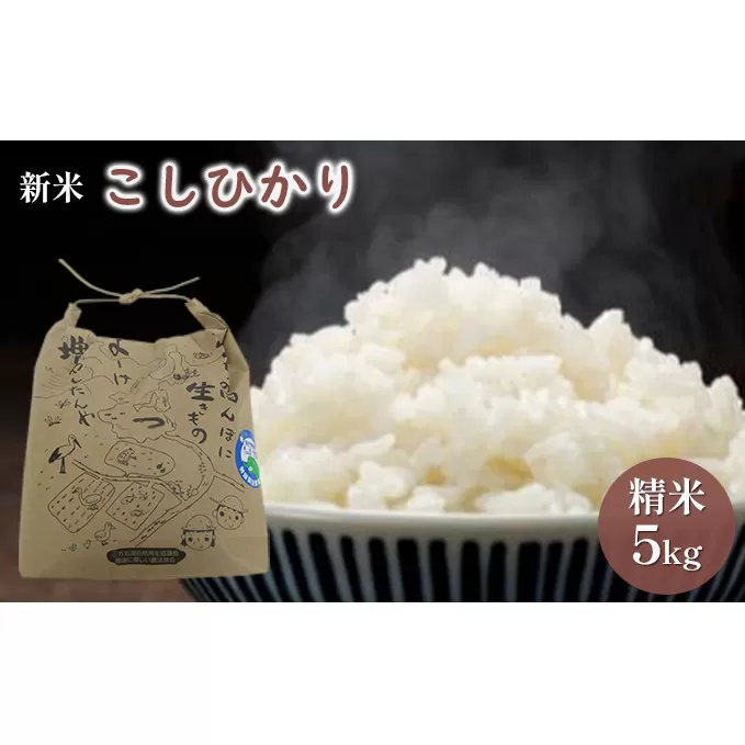 【先行予約】こしひかり5kg（令和6年度産）特別栽培米　若狭・天狗山農園