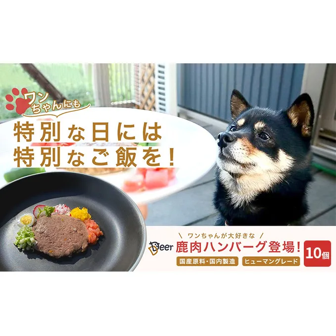 鹿肉ドッグフード　鹿肉ハンバーグ（犬用）　10個（約50g×10個）