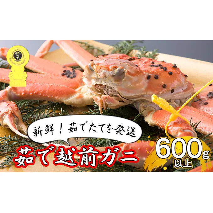 【年明け出荷】茹で越前ガニ【期間限定】食通もうなる本場の味をぜひ、ご堪能ください。約600g以上×1杯 越前がに 越前かに 越前カニ ずわいがに ズワイガニ 蟹 かに カニ ボイルガニ