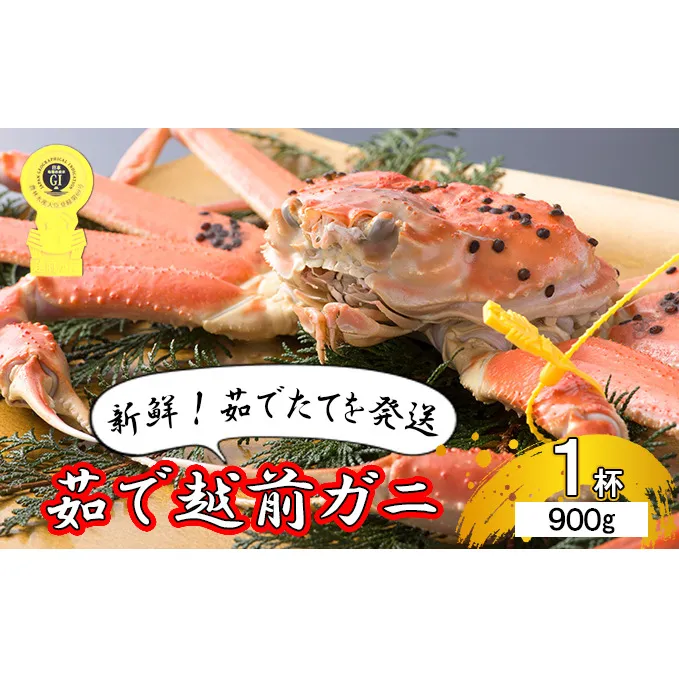 【年明け出荷】茹で越前ガニ【期間限定】食通もうなる本場の味をぜひ、ご堪能ください。 約900g以上×1杯 越前がに 越前かに 越前カニ ずわいがに かに カニ ボイルガニ