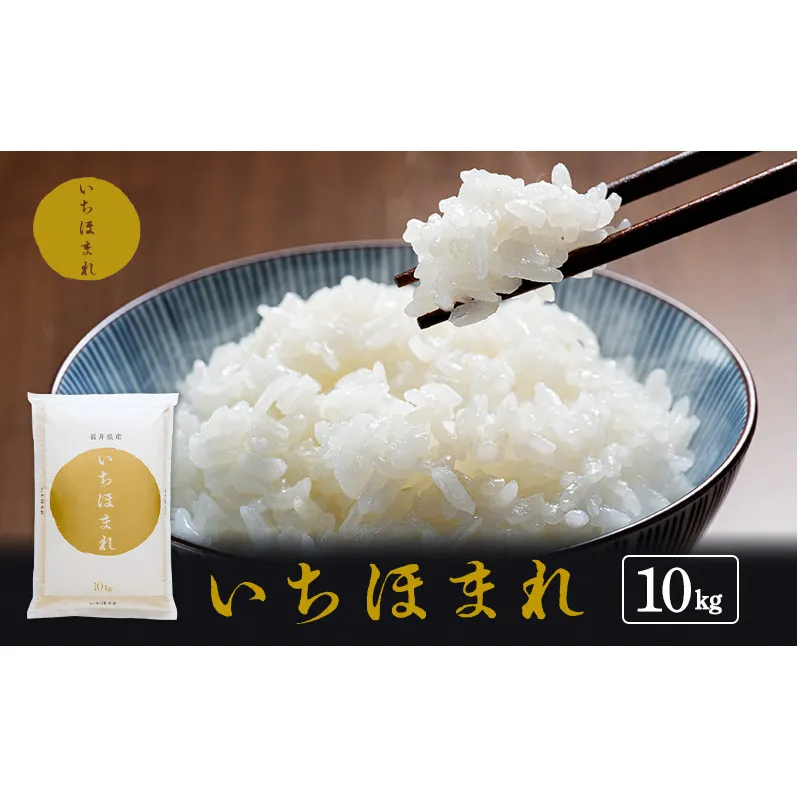 米 令和6年 いちほまれ 10kg 新米 精米 白米 お米 米 おこめ こめ コメ ご飯 ブランド米 令和6年産 福井 福井県 若狭町