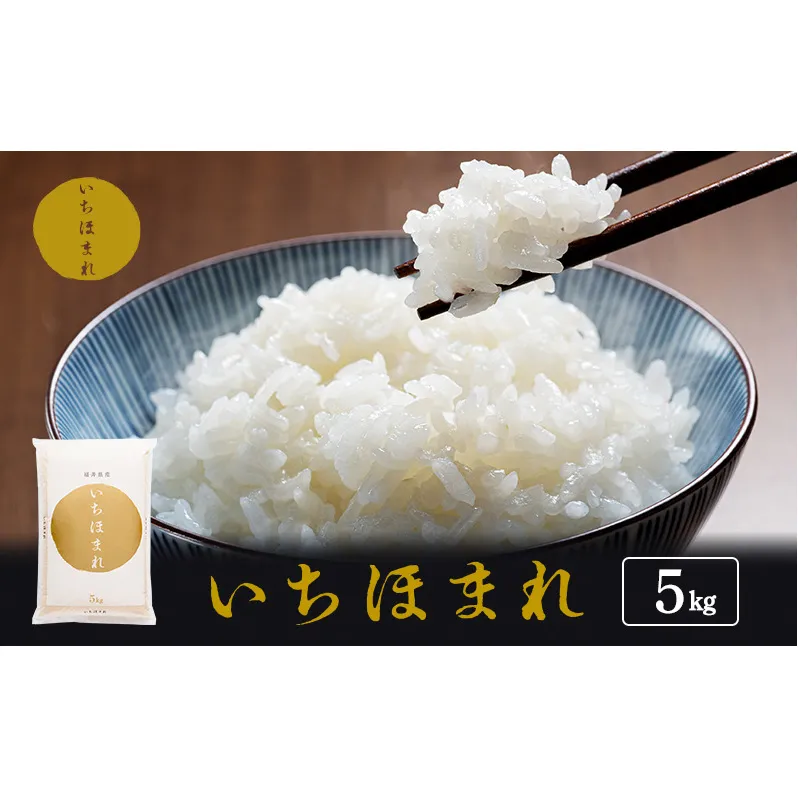 米 令和6年産 いちほまれ 5kg 福井 高級ブランド米 お米 おこめ コメ こめ 白米 精米 ご飯 ごはん 福井県