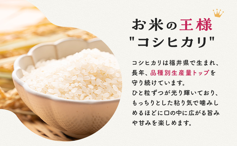 米 令和6年 コシヒカリ 10kg 一等米 お米 おこめ こめ コメ 白米 精米 新米 ご飯 ごはん 三宅カントリーファーム 福井県 福井｜若狭町｜ 福井県｜返礼品をさがす｜まいふる by AEON CARD