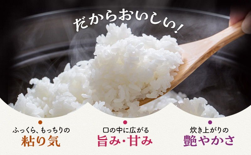 米 令和6年 コシヒカリ 10kg 一等米 お米 おこめ こめ コメ 白米 精米 新米 ご飯 ごはん 三宅カントリーファーム 福井県 福井｜若狭町｜福井 県｜返礼品をさがす｜まいふる by AEON CARD