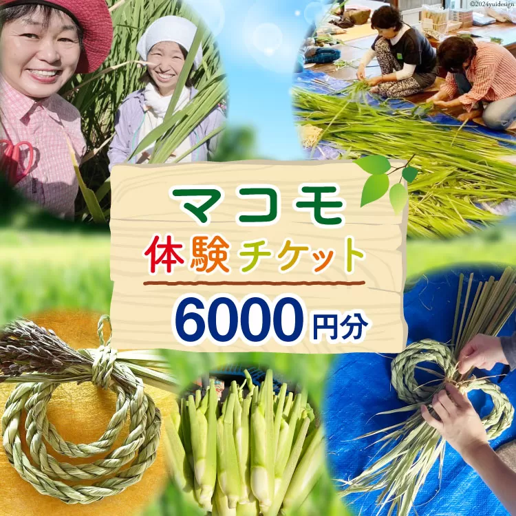 マコモ体験チケット（6,000円分）田植え 収穫 マコモ料理 手仕事体験 [マコモ農園さんさん 山梨県 韮崎市 20742713] 体験 子ども 子供 まこも 真菰 マコモ 真菰茶 まこも茶 マコモ茶 マコモダケ 体験型