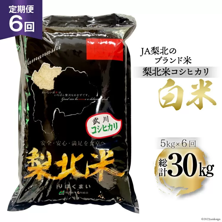 【定期便】【6回 米 定期便 】 武川米 コシヒカリ 5kg×6回 総計30kg [梨北農業協同組合 山梨県 韮崎市 20742744] こしひかり お米 おこめ こめ コメ 精米 30キロ ご飯 ごはん 白米 国産 JA梨北