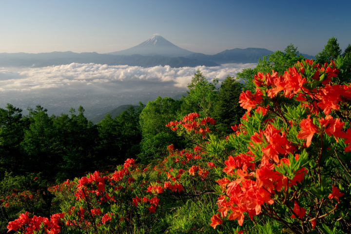 名峰を背景に楽しめる美しい花々