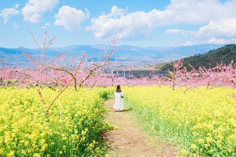 春夏秋冬の多彩な顔をもつ風光明媚な景色