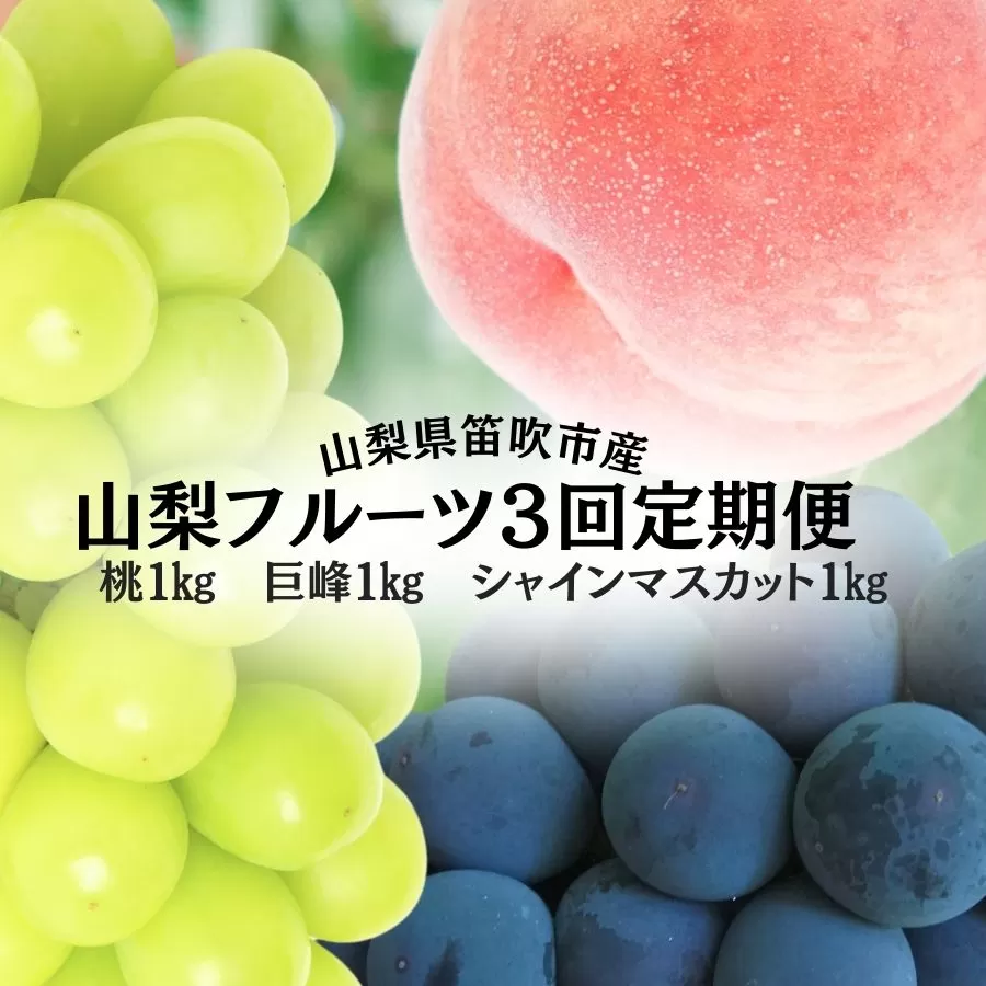 ＜25年発送先行予約＞山梨のフルーツ定期便　全３回　桃　巨峰　シャインマスカット 167-140
