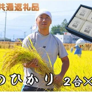 【中央市共通返礼品】中央市産お米(ひのひかり)6個詰合せ  [5839-1664] 