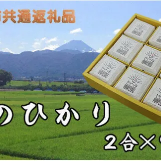 【中央市共通返礼品】中央市産お米(ひのひかり)9個詰合せ  [5839-1665] 