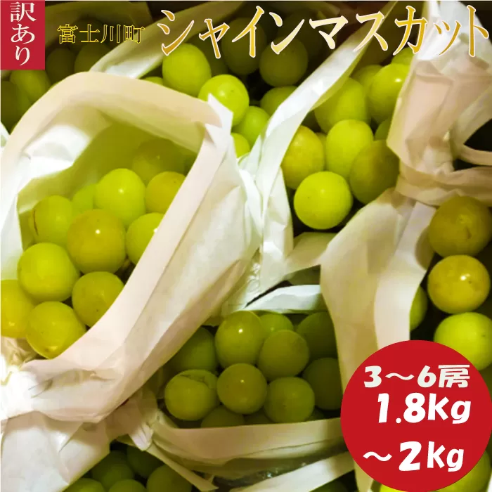 【訳あり】シャインマスカット  1.8kg～2kg (3～6房) 【8月下旬以降発送予定】 訳アリ 訳あり品 シャイン マスカット ぶどう ブドウ 葡萄 徳用 家庭用 ご家庭用 旬 新鮮 約