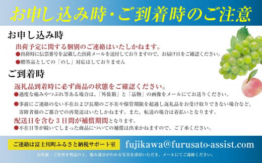 先行予約】【2024年発送】もも 約2.5kg（早生）7〜15玉 桃 山梨県産 フルーツ 産地直送  早生品種｜富士川町｜山梨県｜返礼品をさがす｜まいふる by AEON CARD