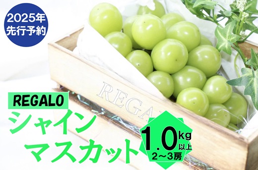 2025年発送分 先行予約】頬張る幸福感 ～緑の宝石・ シャインマスカット ～ １ｋｇ以上（２～３房） フルーツ 山梨県産 果物 くだもの シャイン  マスカット ぶどう ブドウ 葡萄 大粒 種なし 先行予約 富士川町｜富士川町｜山梨県｜返礼品をさがす｜まいふる by AEON CARD