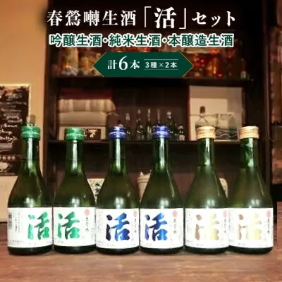 春鶯囀生酒蔵元直送「活」セット　300ml×6本セット （吟醸生酒2本/純米生酒2本/本醸造生酒2本） ギフト 贈答 日本酒 地酒 清酒 