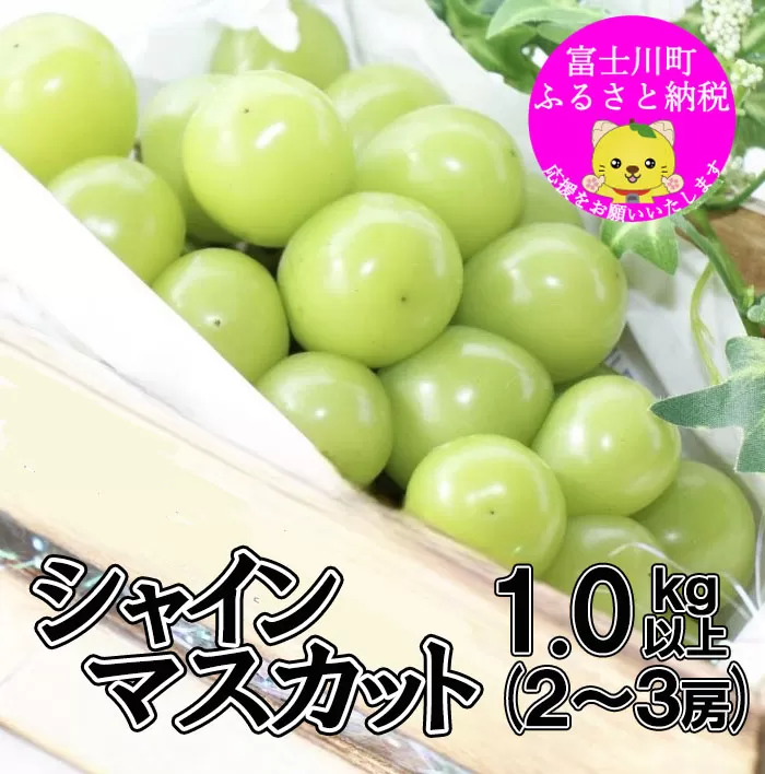 ＼月間ランキング(すべて・果物)１位獲得／【2025年発送分 先行予約】頬張る幸福感　～緑の宝石・ シャインマスカット ～ １ｋｇ以上（２～３房） フルーツ 山梨県産 果物 くだもの シャイン マスカット ぶどう ブドウ 葡萄 大粒 種なし 先行予約 富士川町 10000円 一万円