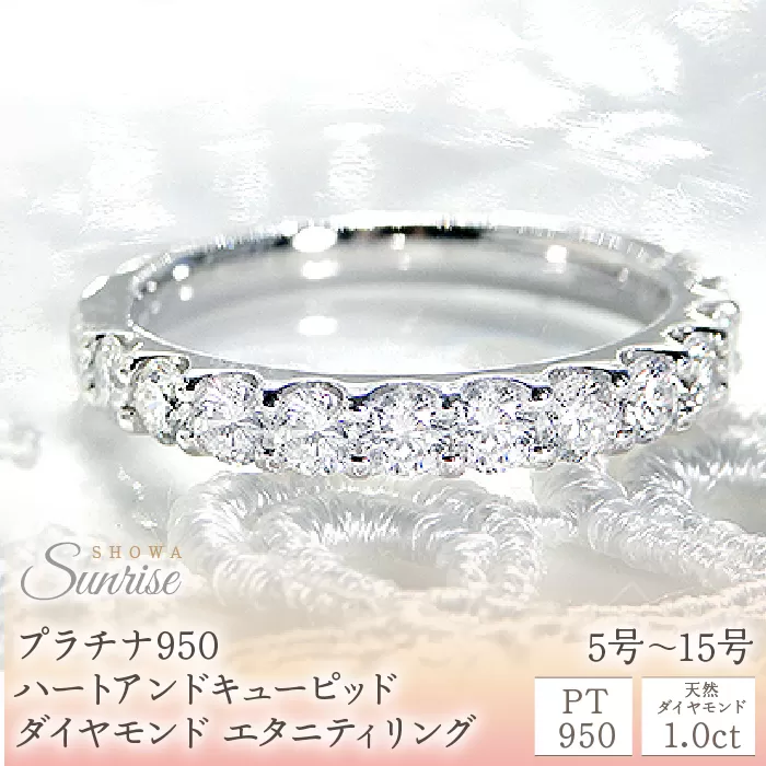 【1.0ct】プラチナ950　ハートアンドキューピッド　ダイヤモンド　エタニティリング（5号〜15号）　CSR0088 SWAV008