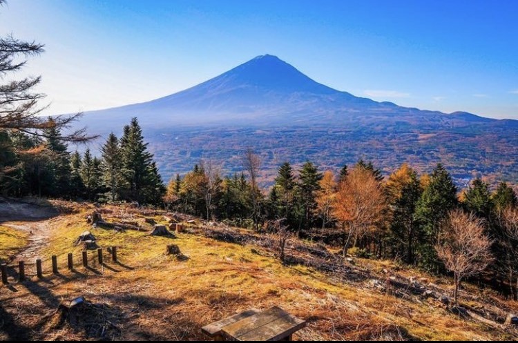 山梨県鳴沢村